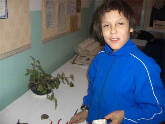 Конец в начало просмотра